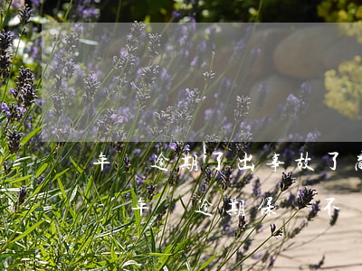年審逾期了出事故了商業(yè)險賠償嗎-年審逾期保險不賠嗎