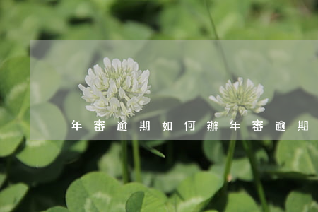 年審逾期如何辦(年審逾期如何辦)