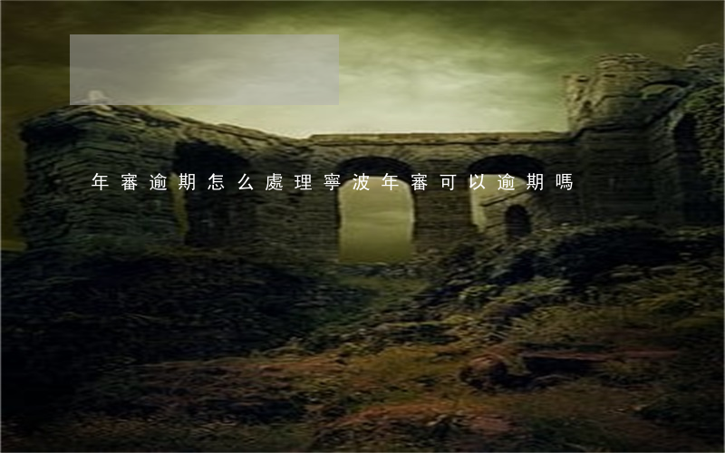 年審逾期怎么處理寧波(年審可以逾期嗎)