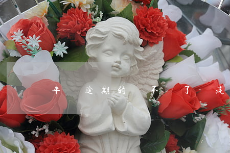 年審逾期的車不見了-汽車逾期半年沒審