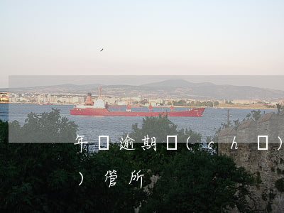 年審逾期車(chē)子怎么去車(chē)管所