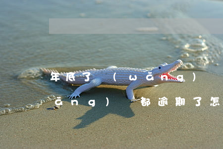 年底了網(wǎng)貸逾期怎么辦(網(wǎng)貸都逾期了怎么正確處理)