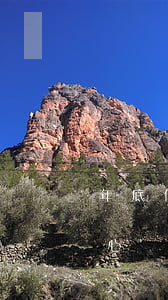 年底信用卡好協(xié)商嗎(去信用卡中心協(xié)商)