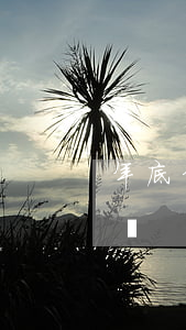 年底信用卡逾期半年(年底信用卡逾期半年沒還)