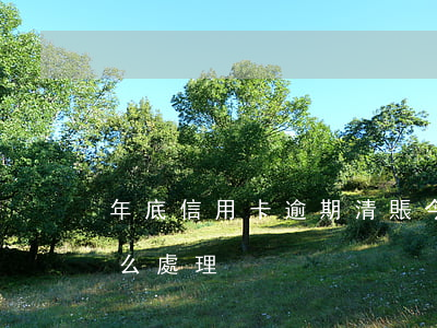 年底信用卡逾期清賬(今年的信用卡逾期有什么處理)