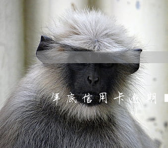 年底信用卡逾期難處理嗎