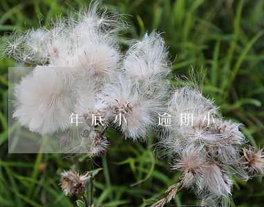年底小貸逾期(小額貸款逾期一個月嚴重嗎)