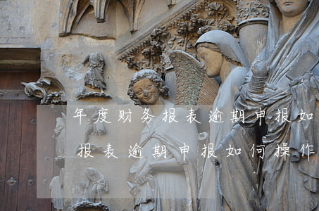年度财务报表逾期申报如何操作-年度财务报表逾期申报如何操作的