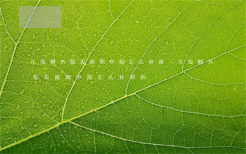 年度财务报表逾期申报怎么补救-年度财务报表逾期申报怎么补救的