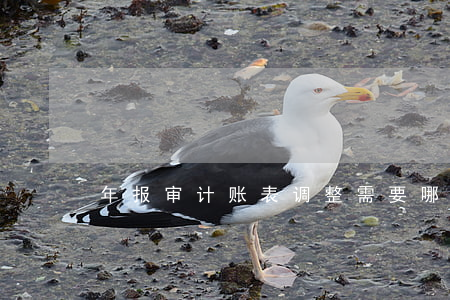 年报审计账表调整需要哪三套分录法