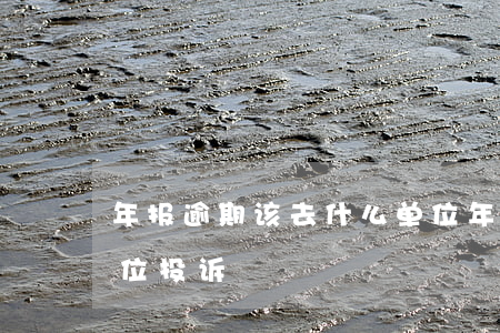 年报逾期该去什么单位(年报逾期该去什么单位投诉)