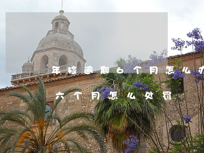 年检逾期6个月怎么办2021-年检逾期六个月怎么处罚
