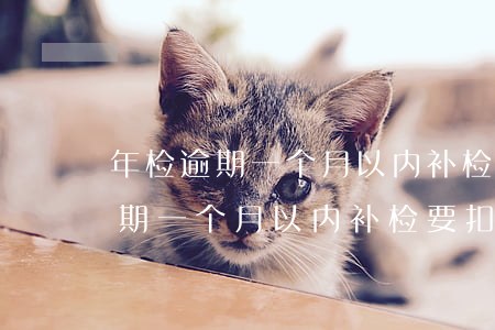 年检逾期一个月以内补检要扣分吗-年检逾期一个月以内补检要扣分吗怎么处理