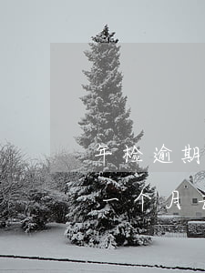 年检逾期一个月去检查会罚款吗-年检逾期一个月去检查会罚款吗多少钱