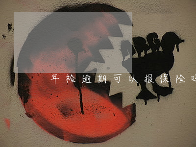 年检逾期可以报保险吗(年检逾期还能免检么)