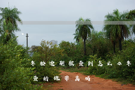 年检逾期被查到怎么办 年检逾期上路被交警查的概率高吗