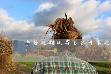 年检逾期被罚怎么开车(逾期去检车怎么处罚)