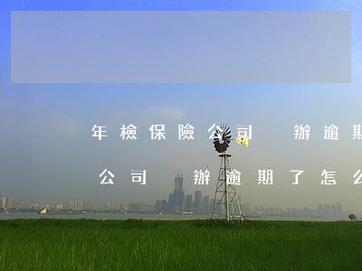 年檢保險公司沒辦逾期了怎么辦-年檢保險公司沒辦逾期了怎么辦理