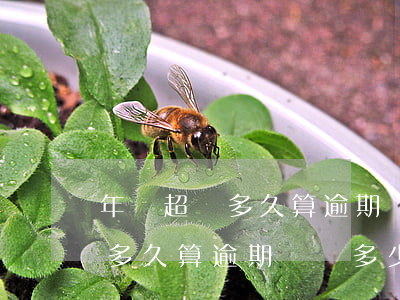 年檢超過多久算逾期處罰多少錢-年檢超過多久算逾期處罰多少錢啊