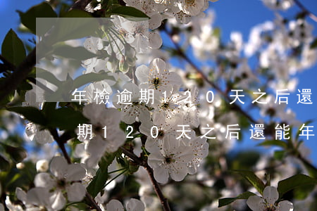 年檢逾期120天之后還能年檢嗎-年檢逾期120天之后還能年檢嗎多少錢