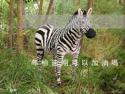 年檢逾期可以加油嗎
