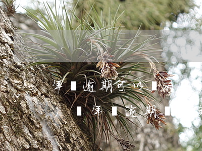 年檢逾期可以報(bào)保險(xiǎn)嗎(年檢逾期還能免檢么)