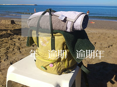 年檢逾期單（逾期年審單）