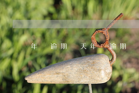 年檢逾期幾天 年檢逾期幾天強制報廢