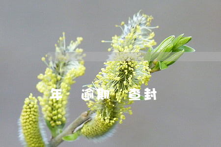 年檢逾期會查封嗎