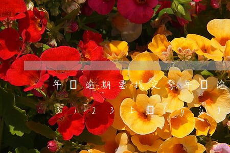 年檢逾期要找交警 年檢逾期可以在交警123123上預(yù)約嗎