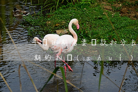 年檢逾期需要罰款扣分去哪里處理-年檢逾期的扣誰(shuí)的分