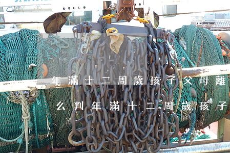 年滿十二周歲孩子父母離婚時(shí)怎么判(年滿十二周歲孩子父母離婚時(shí)怎么判)