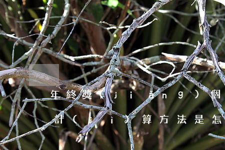 年終獎(jiǎng)個(gè)人所得稅計(jì)算方法是怎樣的（個(gè)人所得稅如何計(jì)算）