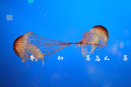 年終獎扣稅計算怎么計算（注意）
