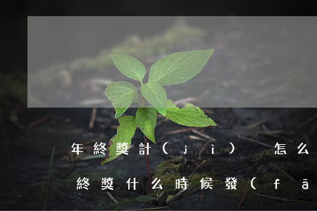 年終獎計(jì)稅怎么計(jì)算的（年終獎什么時候發(fā)放）
