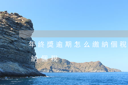年終獎逾期怎么繳納個稅 年終獎逾期怎么繳納個稅