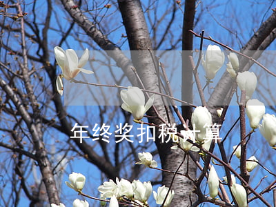 年终奖扣税计算