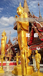 年薪12萬網(wǎng)貸欠15萬(欠網(wǎng)貸十萬工資每月四千)
