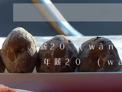 年薪20萬(wàn)一個(gè)月多少錢(年薪20萬(wàn)一個(gè)月多少錢年底)