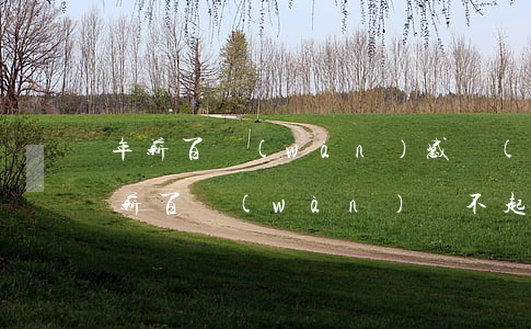 年薪百萬(wàn)感覺(jué)很窮（年薪百萬(wàn)還不起信用卡）