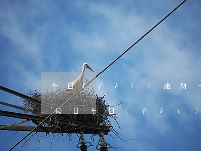 年費(fèi)逾期一定會(huì)上征信嗎(年費(fèi)逾期會(huì)影響征信嗎)