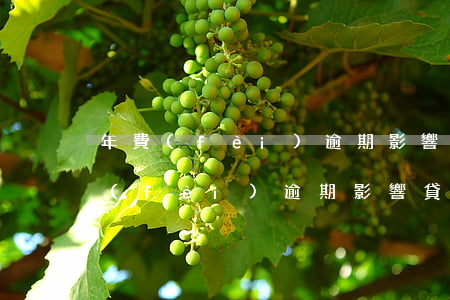 年費(fèi)逾期影響貸款嗎(信用卡年費(fèi)逾期影響貸款嗎)