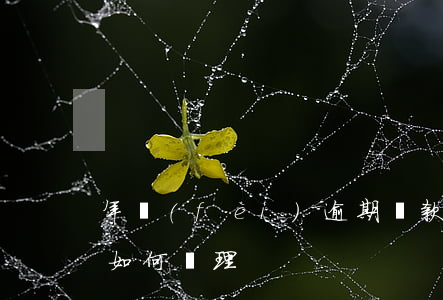 年費(fèi)逾期貸款怎么辦(貸款逾期該如何處理?)