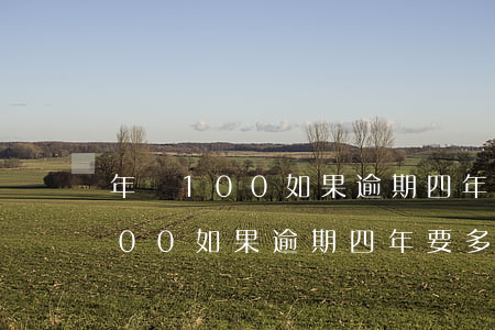 年費100如果逾期四年要多少了-年費100如果逾期四年要多少了才能貸款