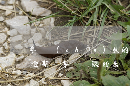 年費產(chǎn)生的呆賬還清后算不算逾期-年費導致的呆賬還清后影響房貸嗎