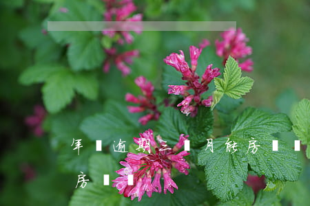 年費逾期三個月能房貸嗎(年費逾期三個月能房貸嗎)