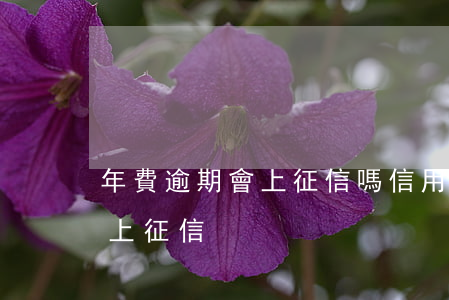 年費逾期會上征信嗎（信用卡年費逾期多久會上征信）