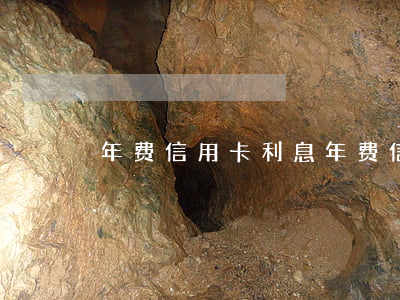 年费信用卡利息(年费信用卡利息)