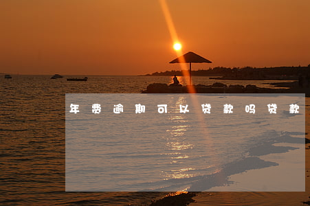 年费逾期可以贷款吗(贷款逾期有逾期费吗)