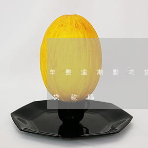 年费逾期影响贷款买房吗(征信逾期影响买房贷款吗)